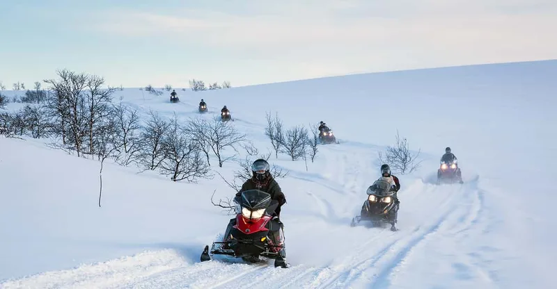 Guided Snowmobile Safari on Finnmarksvidda With Snacks — snowmobile tour in Alta