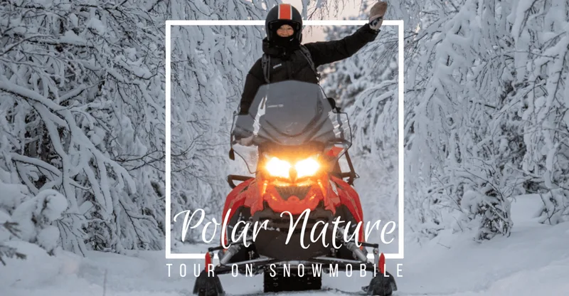 Polar Nature Tour on Snowmobile — snowmobile tour in Kiruna