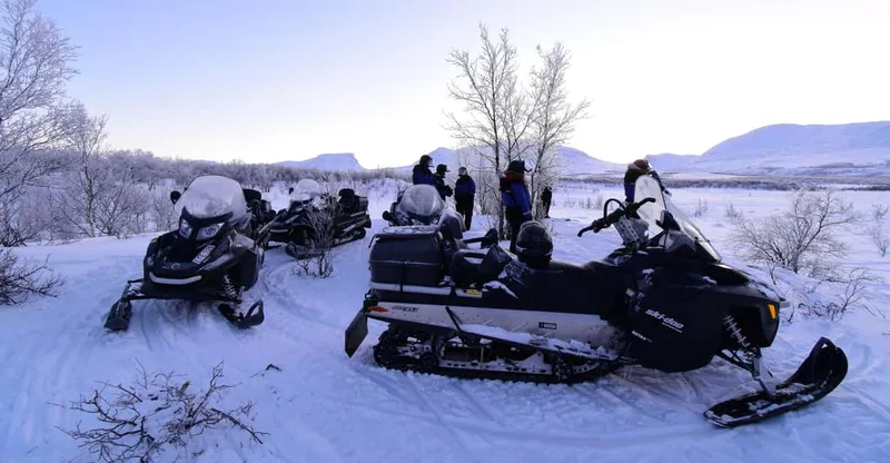 Abisko: Snowmobile Sightseeing Tour — snowmobile tour in Kiruna