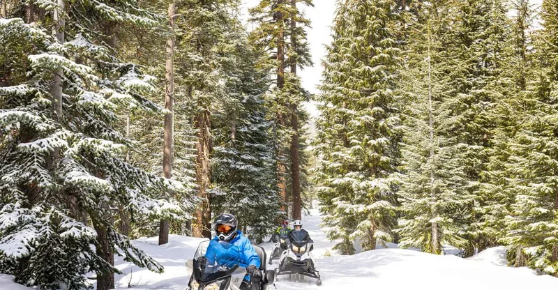 Summit Snowmobile Tour with Scenic Views — snowmobile tour in Lake Tahoe