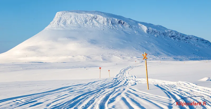 Kilpisjärvi: Snowmobile Tour on scenic trail — snowmobile tour in Levi