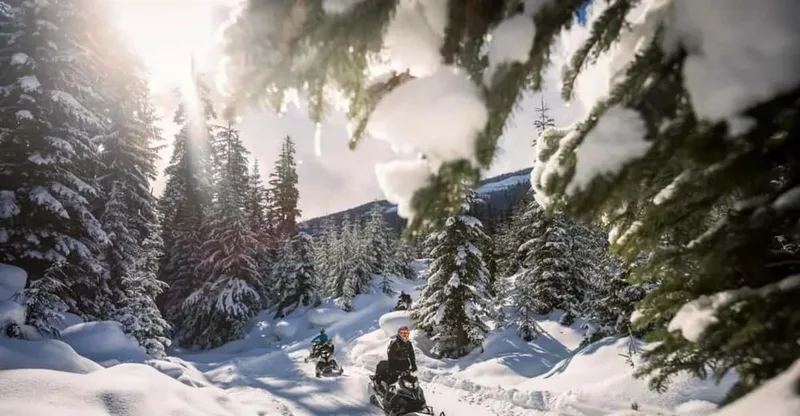 Snowmobile tours in Whistler